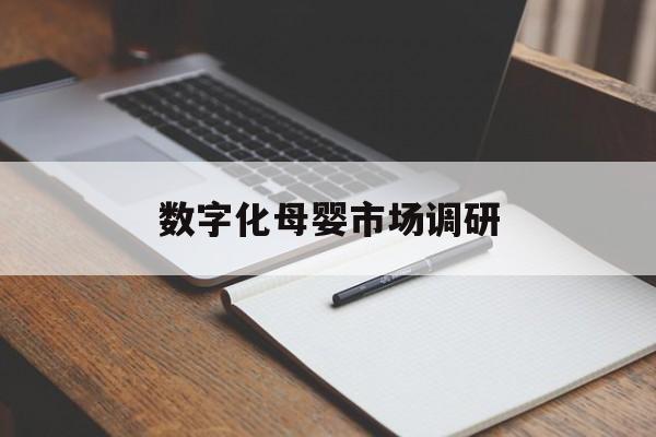 锦州市数字化母婴市场调研(数字化母婴市场调研报告)